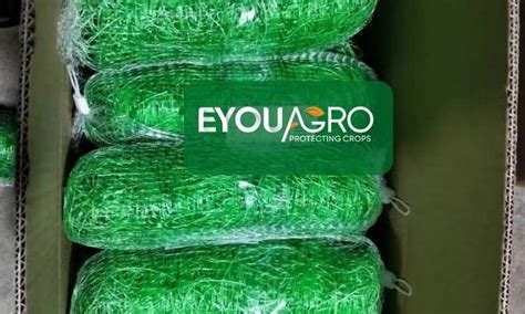 How to Make a Trellis Using Netting 的图像结果