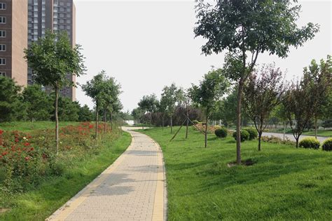 北京艺苑风景园林工程有限公司-最新工程--兴旺路绿化工程
