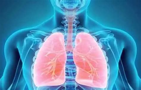 Avacopan reduces ENT involvement and glucocorticoid use in ANCA ...