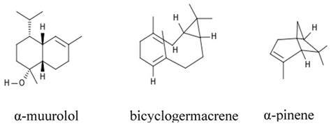 Photoinduced Antibacterial Activity of the Essential Oils from Eugenia ...