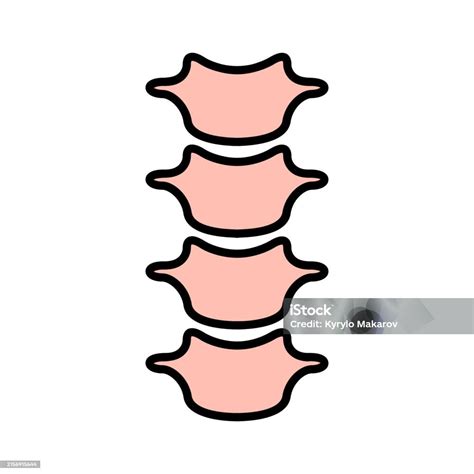 Image result for Backbone System