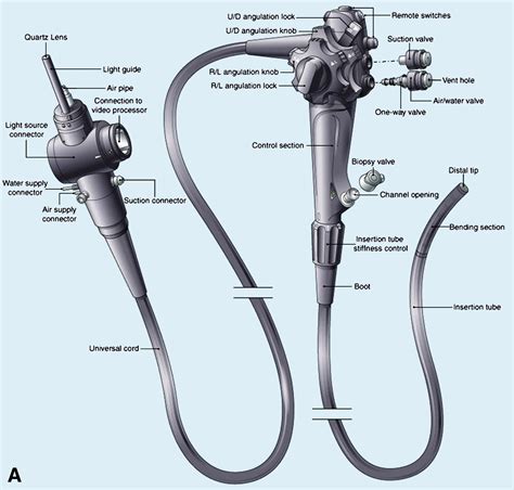 The endoscope - Gastrointestinal Endoscopy