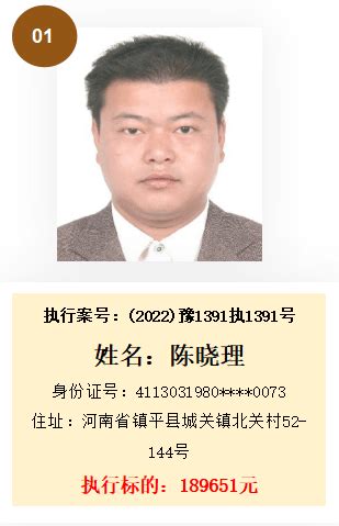 南阳法院再次曝光一批失信被执行人名单-搜狐