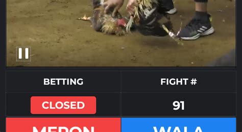 Pitmaster Sabong Tips 的图像结果