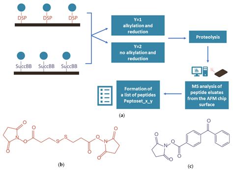 Mass Spectrometric Identification of BSA Covalently Captured onto a ...