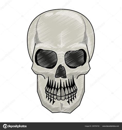Human skull drawing scribble Stock Vector Image by ©jemastock #239750720