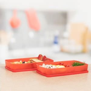 TUPPERWARE Plastic Fridge Container - 600 ml Price in India - Buy ...