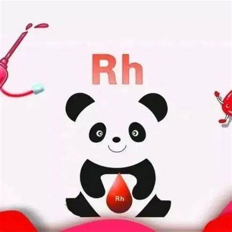 徐州市血液中心“血型室”揭秘“真假熊猫血” - 全程导医网