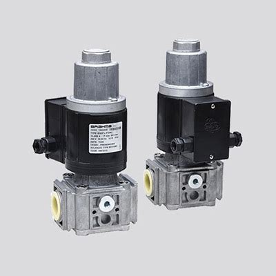 Ecotherm Combustion - Gas Solenoid Valve