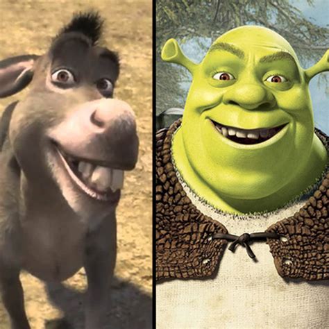 Donkey Meme Shrek