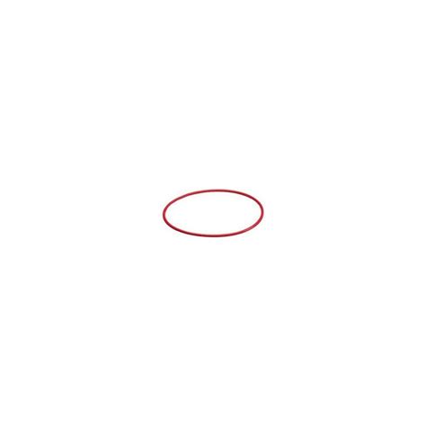 Buy Olympus O-Ring UW Silicone POL-E01B Online at Low Price in India ...