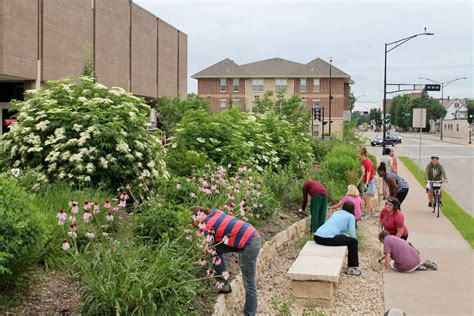 Volunteer + Learn: Water Capture Berms and Swales, Dahl Y- 1140 Main ...