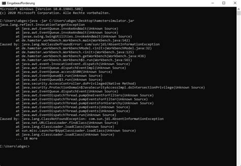 Java Hamster Simulator 的图像结果