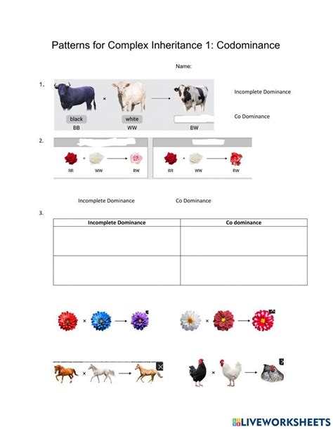 Codominance Practice Problems 的图像结果