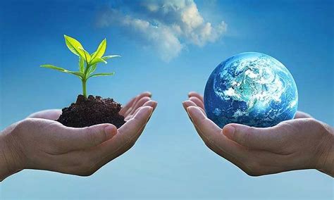 Living Elements to Start Your Climate Change Fight | Agriplast