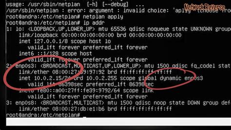 Ubuntu Network Config 的图像结果