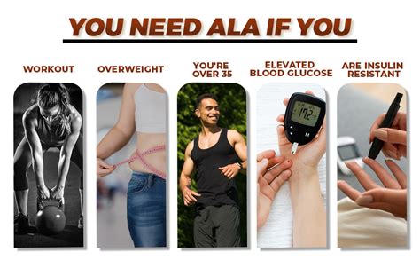 Neulife ALA (Alpha-Lipoic Acid) 300mg Capsules | Antioxidant Supplement ...