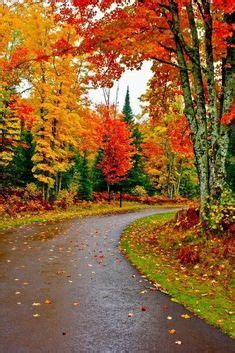Image result for Fall Scenes Beautiful Nature