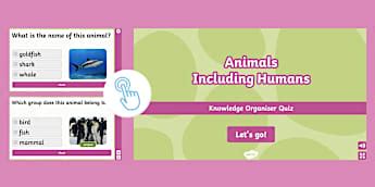 Animals, Including Humans Year 1 - Science Resources