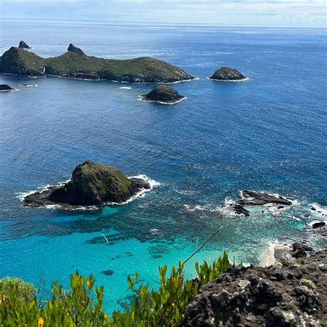 WILDSIDE WALKS LORD HOWE ISLAND (2024) All You Need to Know BEFORE You ...