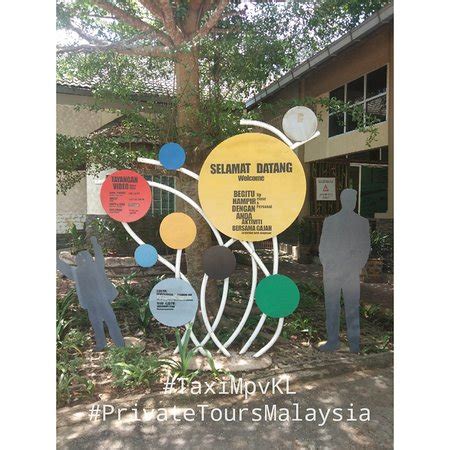 Kuala Gandah Elephant Sanctuary (Pahang) - 2021 What to Know Before You ...