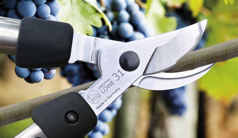 How to Use Loppers 的图像结果