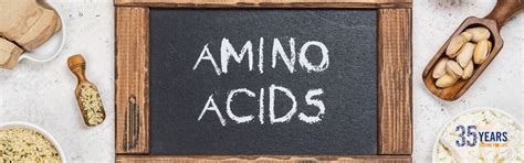 Amino Acid Profile Testing | Food Testing Laboratory in India