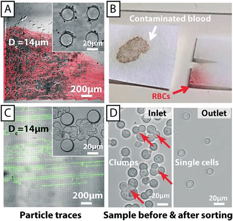 Rezultat imagine pentru Open DLD File