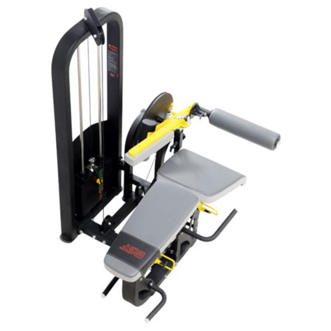 Leg Extension / Leg Curl 4-in-1 (Alpha) — MSFFIT