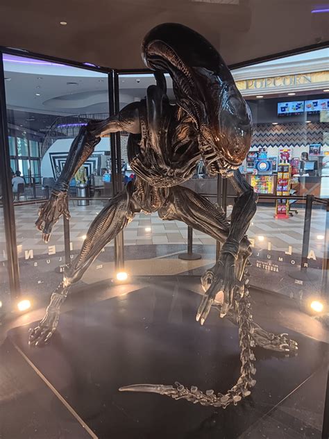 Image result for Alien Romulus Promo