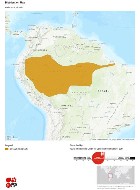 Short-eared dog | Canids