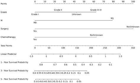 Frontiers | Predicting survival rates: the power of prognostic nomograms in distal ...