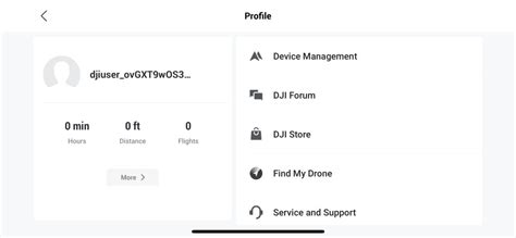 DJI Mini 4 Pro Setup 的图像结果