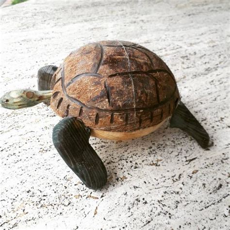 Image result for Turtle Carving Pattern