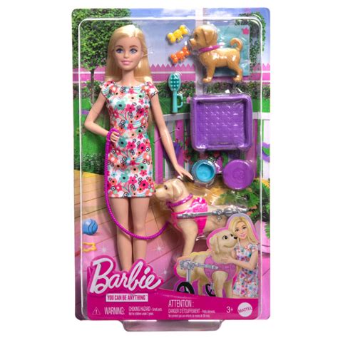 Barbie Doll With A Toy Pup And Dog in A Wheelchair, Plus Pet Accessori ...