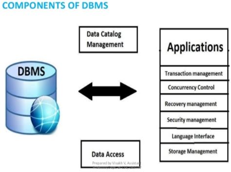 DBMS For Dummies 的图像结果