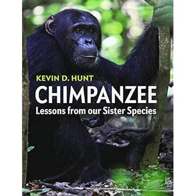 Buy Chimpanzee: Lessons from our Sister Species 1st Edition Online at ...