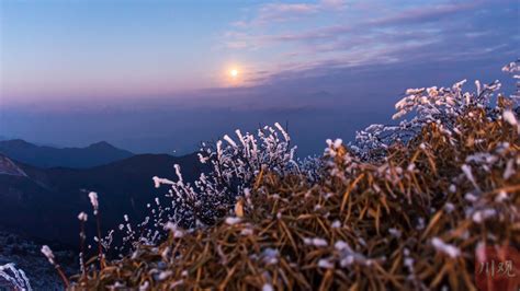 绵阳千佛山风景区门票,绵阳千佛山风景区门票预订,绵阳千佛山风景区门票价格,去哪儿网门票