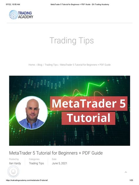 MetaTrader 5 Beginning 的图像结果