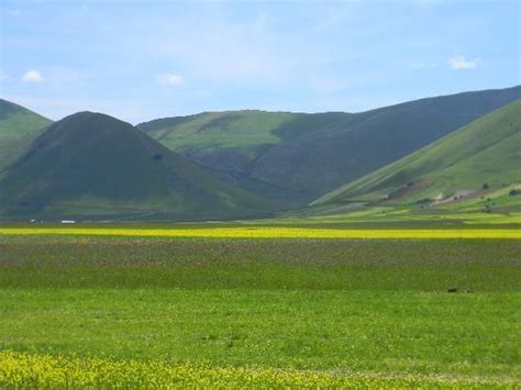Castelluccio (Umbria) - What to Know Before You Go (with Photos ...