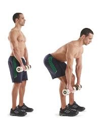 Romanian Deadlift • Bodybuilding Wizard