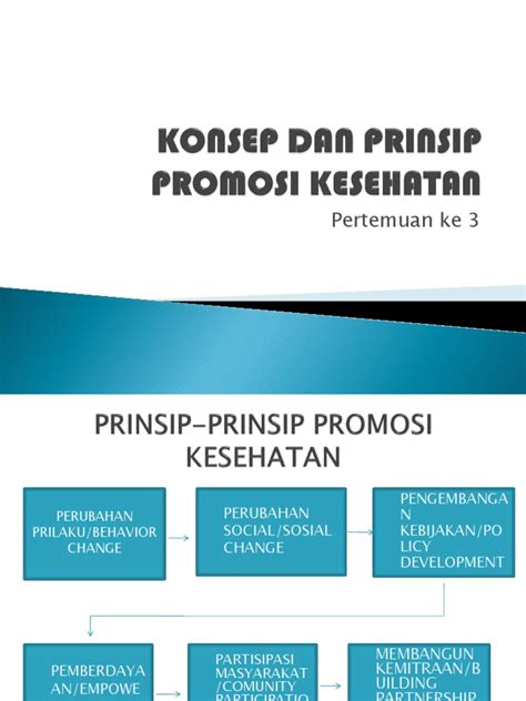 7 prinsip promosi kesehatan menurut who