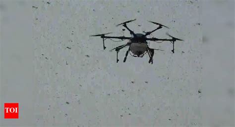 Drones spray chemicals to drive away locusts in Agra, wildlife ...