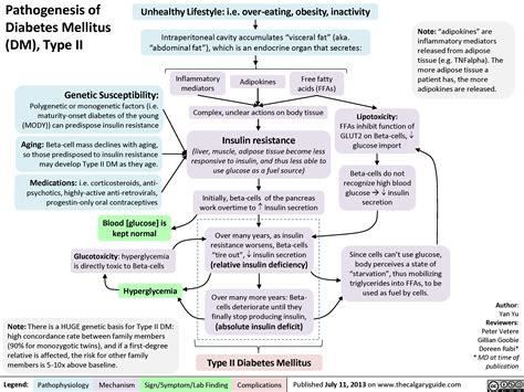 Pathogenesis of Diabetes Mellitus (DM), Type II | Calgary GuideCalgary ...