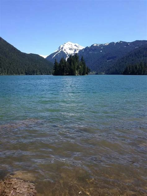 Washington 的图像结果