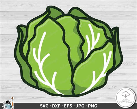 Lettuce Clip Art Lettuce Drawing Images – Browse 204,343 Stock