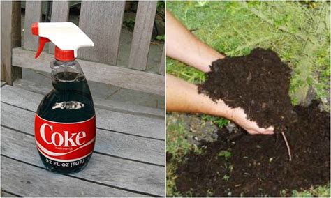 18 Facts About India That Will Definitely Leave You Awestruck