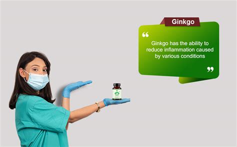 Buy Mint Veda Ginkgo Biloba 120mg for Better Concentration, Memory ...