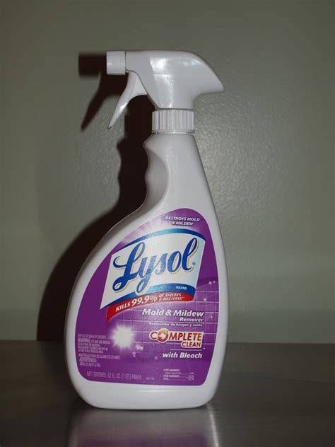 Lysol Mold And Mildew Remover With Bleach - House for Rent