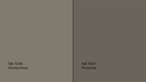 Sherwin Williams Anonymous (SW 7046): A Complete Color Guide - A House ...